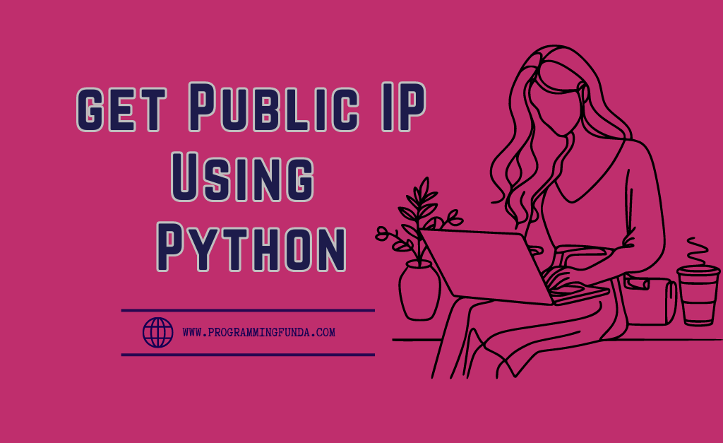 Get Public IP Address Using Python